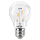 Filament Incanto LED lamp Globe 6W E27 2700K 810 lumen