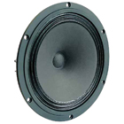 High-End full-range loudspeaker 20 cm (8")